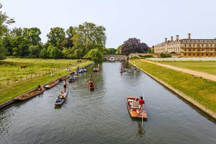 Cambridge Best Sightseeing Bus Tours – Flexible tickets, multiple routes, and must-see attractions of Cambridge in 2026 Top sightseeing bus tours in Cambridge, United Kingdom – Popular points of interest, hidden gems, and panoramic views of Cambridge in 2026